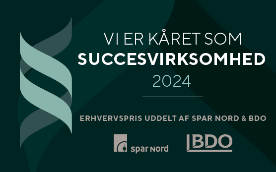 Succesvirksomhed 2024