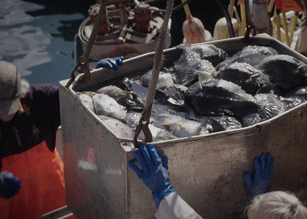 Elite-Seafood-lumpfishroe-1